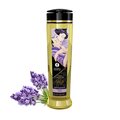 Shunga Massage oils Lavender