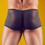 Svenjoyment Transparent Push Up Boxers