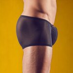 Svenjoyment Transparent Push Up Boxers