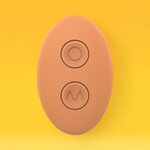 Glam Remote Controlled Couples Vibrator