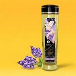 Shunga Massage oils