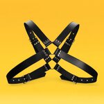 Ouch Leather Harness with Large Buckle