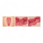 Kokos Angel 2 Ultrarealistic Minihip Vagina