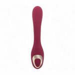 S Pleasures Premium Dual Suction Vibrator