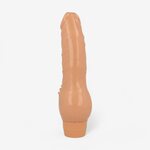 Vibrator 19.5 cm