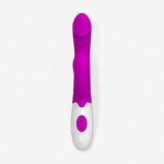 Andre Vibrator With Clitoral Stimulator