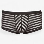 Svenjoyment Transparent Stripes Boxers