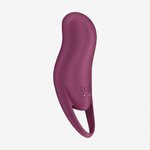 Satisfyer Pocket Pro 1