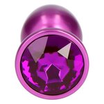 Shiny Purple Metallic Anal Plug