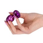 Shiny Purple Metallic Anal Plug