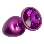 Shiny Purple Metallic Anal Plug