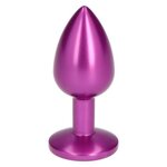 Shiny Purple Metallic Anal Plug