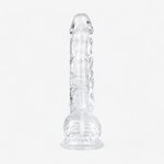 Transparence Temptation Dildo