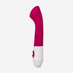 Poistotuotteet Velvet Curve Vibrator