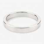 Mr. Steel Premium Cock Ring