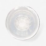 Real Rock Easy Rider Textured Masturbator Transparent