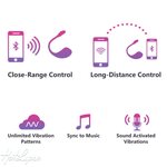 Lovense Lush 2 App Controlled Vibrator