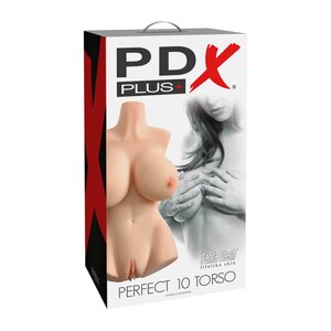 Pipedream Perfect 10 Torso