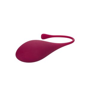 California Exotics Kegel Harjoituskuulat 5 ks