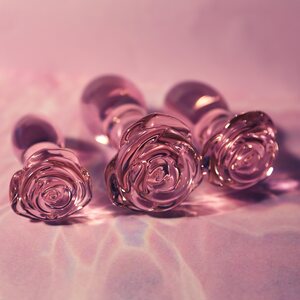 Dream Toys Glaze Glass Rosebud Anal Training Set