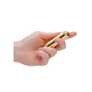 10 Speed Rechargeable Bullet