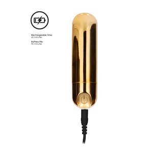 10 Speed Rechargeable Bullet