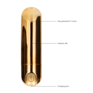 10 Speed Rechargeable Bullet