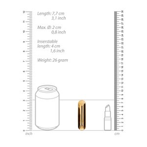 10 Speed Rechargeable Bullet