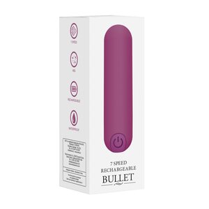 10 Speed Rechargeable Bullet