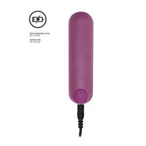 10 Speed Rechargeable Bullet