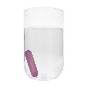 10 Speed Rechargeable Bullet