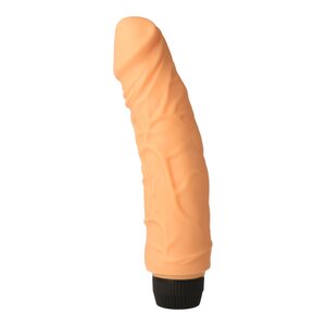 Perfect Pleasures Vibrator
