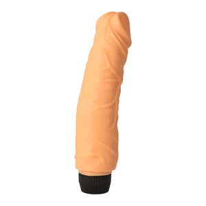 Perfect Pleasures Vibrator