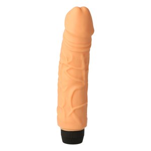 Perfect Pleasures Vibrator