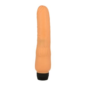 Perfect Pleasures Vibrator
