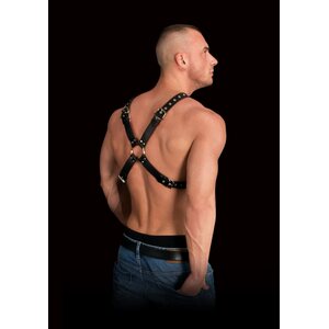 Ouch Adonis High Halter Harness