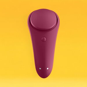 Satisfyer Sexy Secret Panty Vibrator