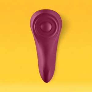 Satisfyer Sexy Secret Panty Vibrator