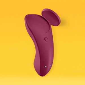 Satisfyer Sexy Secret Panty Vibrator