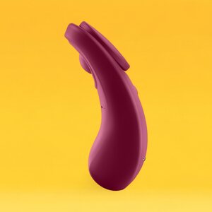 Satisfyer Sexy Secret Panty Vibrator