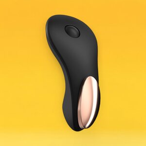 Satisfyer Little Secret Panty Vibrator