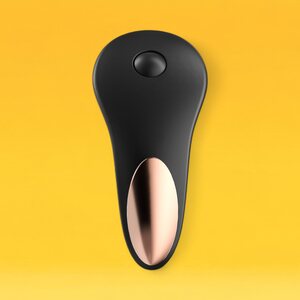 Satisfyer Little Secret Panty Vibrator