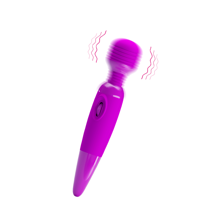 Power Wand Vibrator