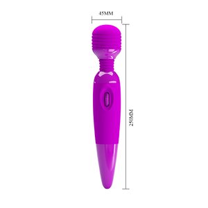 Power Wand Vibrator