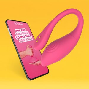 Remote-controlled sex toys