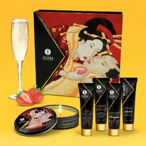 Shunga Geishas Secret Kit Mansikka