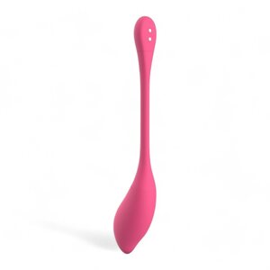 EasyConnect Vibrating Egg Aria app-controlled