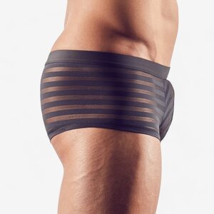 Svenjoyment Transparent Stripes Boxers