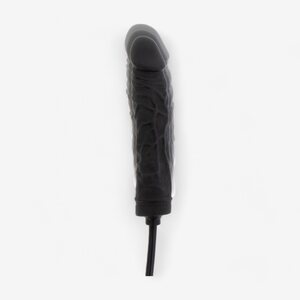Hidden Desire Inflatabe Dildo Advanced
