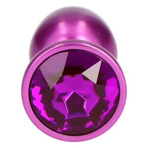 Shiny Metallic Anaalitappi